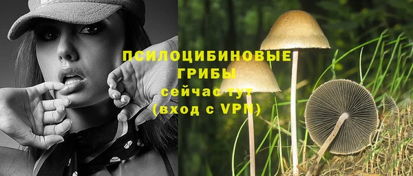 скорость Богданович