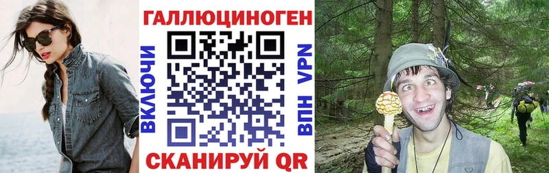 Купить закладки  Армавир  Псилоцибиновые грибы MAGIC MUSHROOMS 