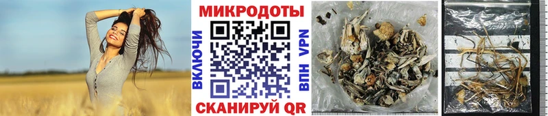 Псилоцибиновые грибы Magic Shrooms Армавир